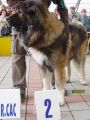 12764b.jpg