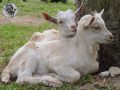 030.jpg
