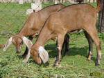 070_2m.jpg
