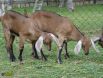072_2m.jpg