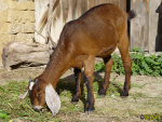 095_4m.jpg