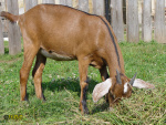 043_5m.jpg