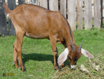 044_5m.jpg