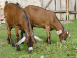 051_7m.jpg