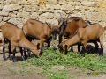 126.jpg