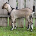 171.jpg