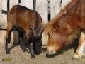 456.jpg