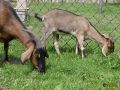 118.jpg