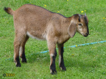 Filename=052.jpg
Filesize=117KB
Dimensions=600x450
Date added=May 10, 2013 052.jpg