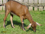 145.jpg