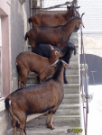 199.jpg