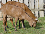149.jpg