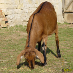 174.jpg