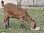 183.jpg