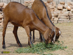 119.jpg