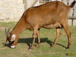 129.jpg