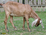 151.jpg