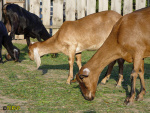 165.jpg