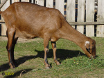 167.jpg