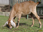 179.jpg