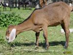 155.jpg