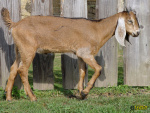 154.jpg