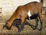173.jpg