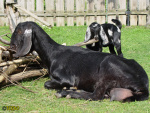 034.jpg