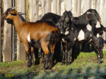 182.jpg