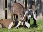 203.jpg