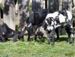 200.jpg