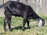 289_12t.jpg
