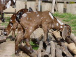 069_3t.jpg