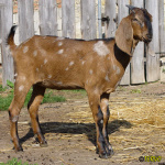 391_4m.jpg