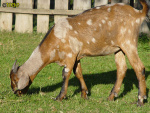 446_5m.jpg