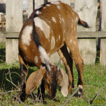 465_6m.jpg