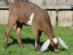 170_10t.jpg