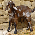 206_1m.jpg